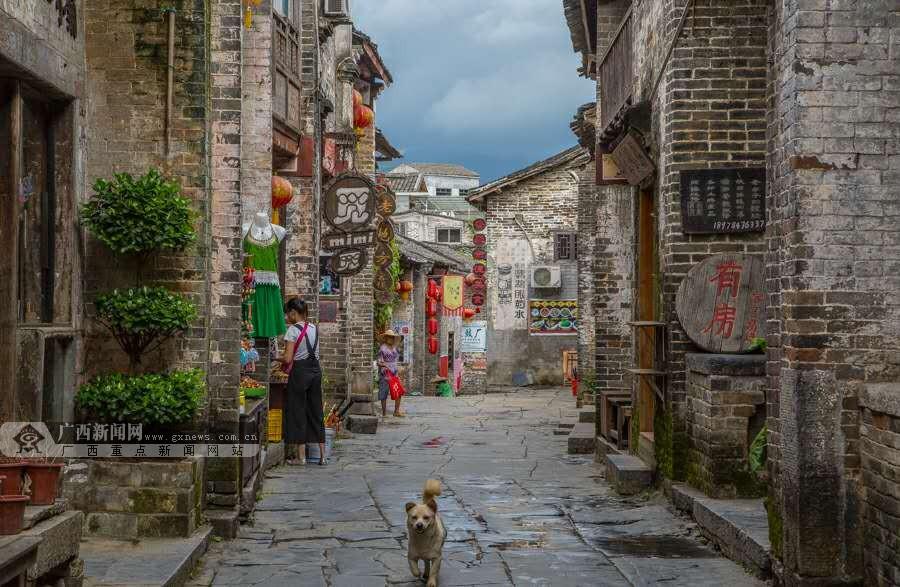 神奇小子龙之陷阱